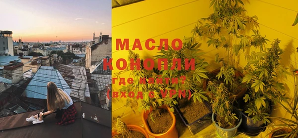 индика Магас