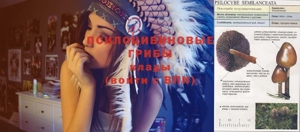 альфа пвп Медногорск