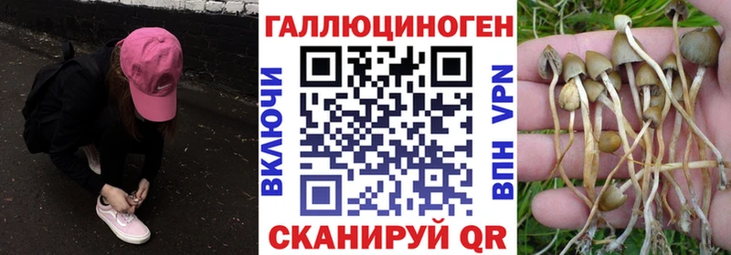 как найти наркотики Агидель даркнет как зайти Галлюциногенные грибы MAGIC MUSHROOMS